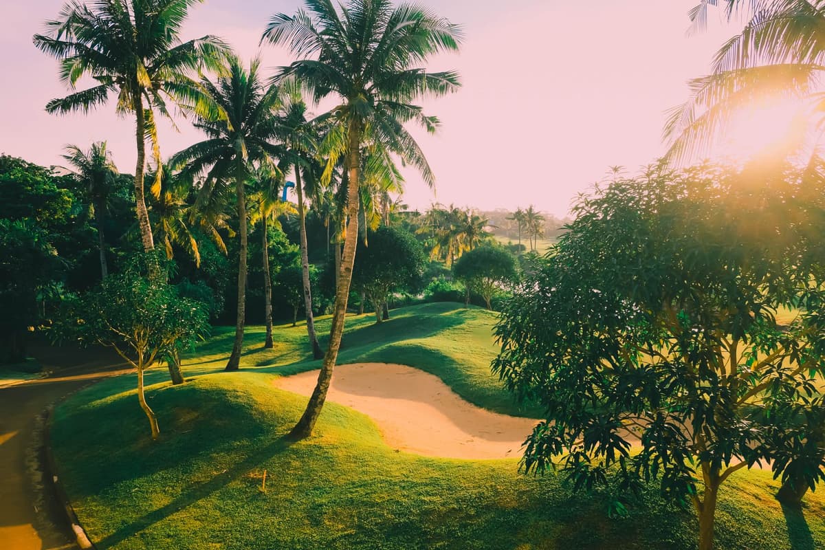 A sunlit southern golf course framed by palms and Mediterranean planting
